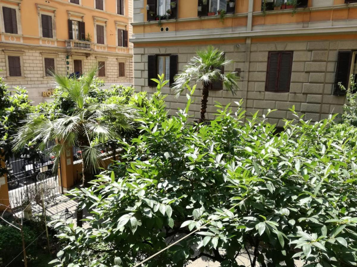 Blue Whale Bed & Breakfast Rome Bagian luar foto