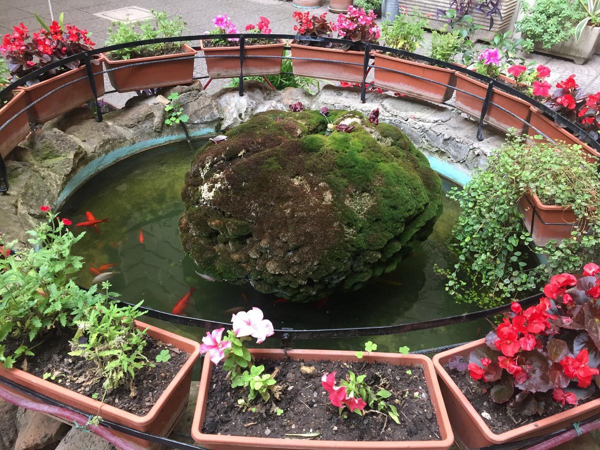 Blue Whale Bed & Breakfast Rome Bagian luar foto