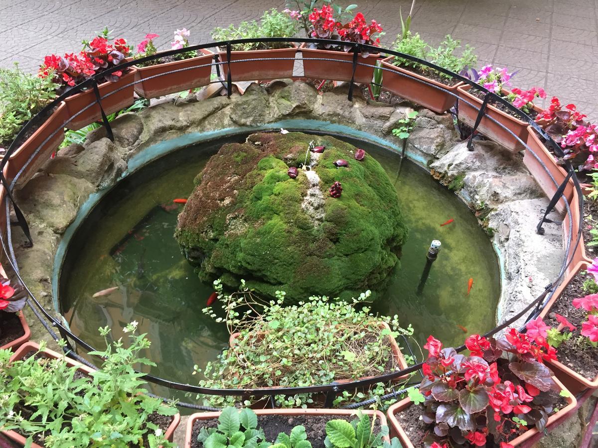 Blue Whale Bed & Breakfast Rome Bagian luar foto